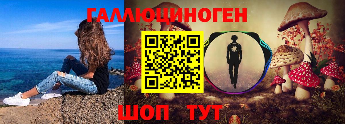 Псилоцибиновые грибы GOLDEN TEACHER Воронеж